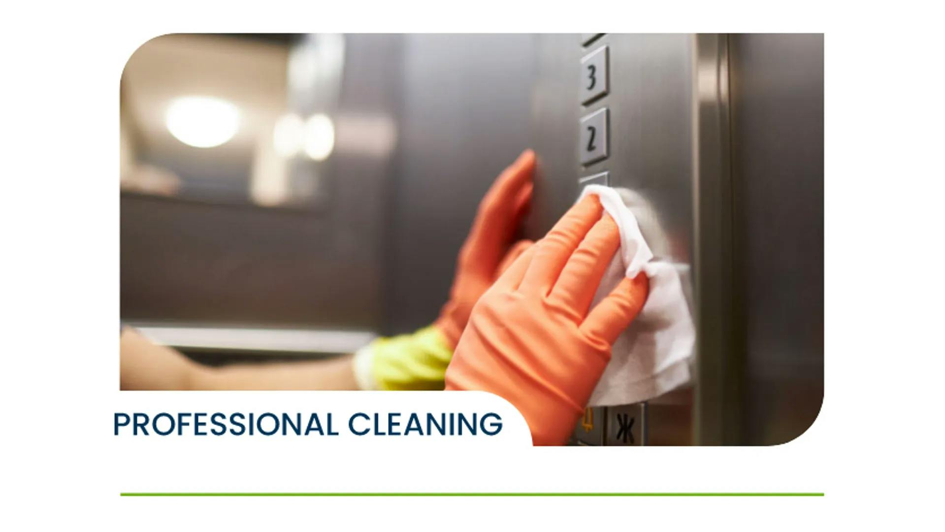 PROFESSIONAL CLEANING